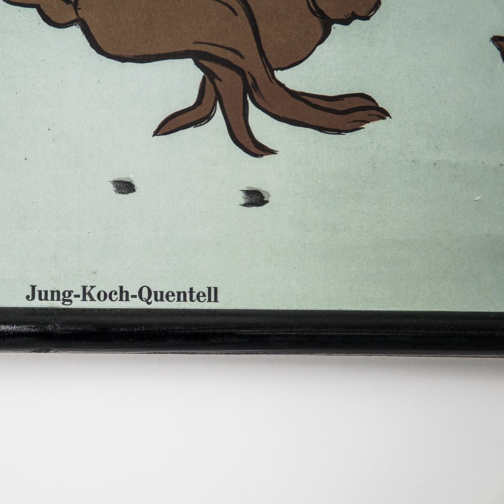 Wall-School Chart | Rabbit | Jung-Koch-Quentell | Germany | 1960s