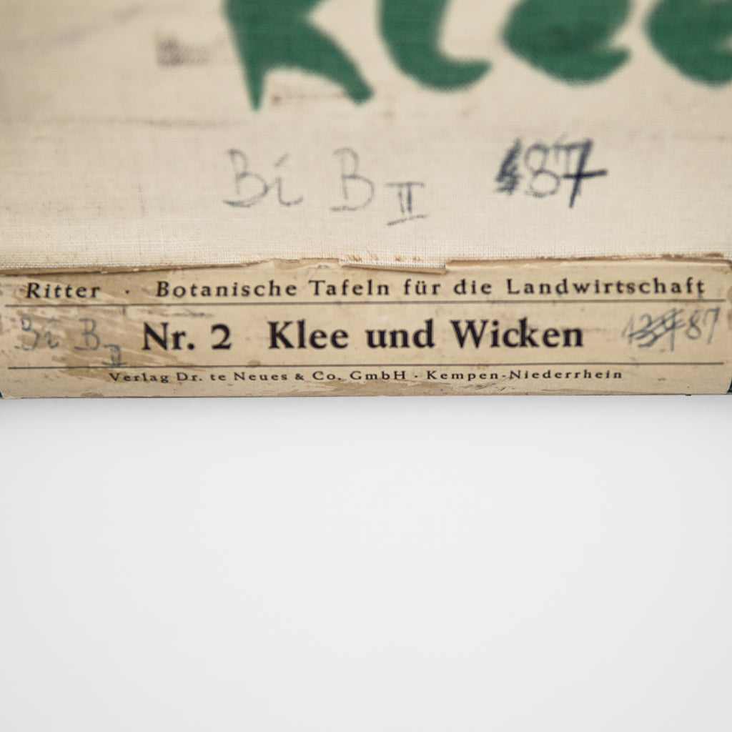 Wall Chart &quot;Klee und wicken&quot; | Österreichische Lehrmittelanstalt | Austria | 1965
