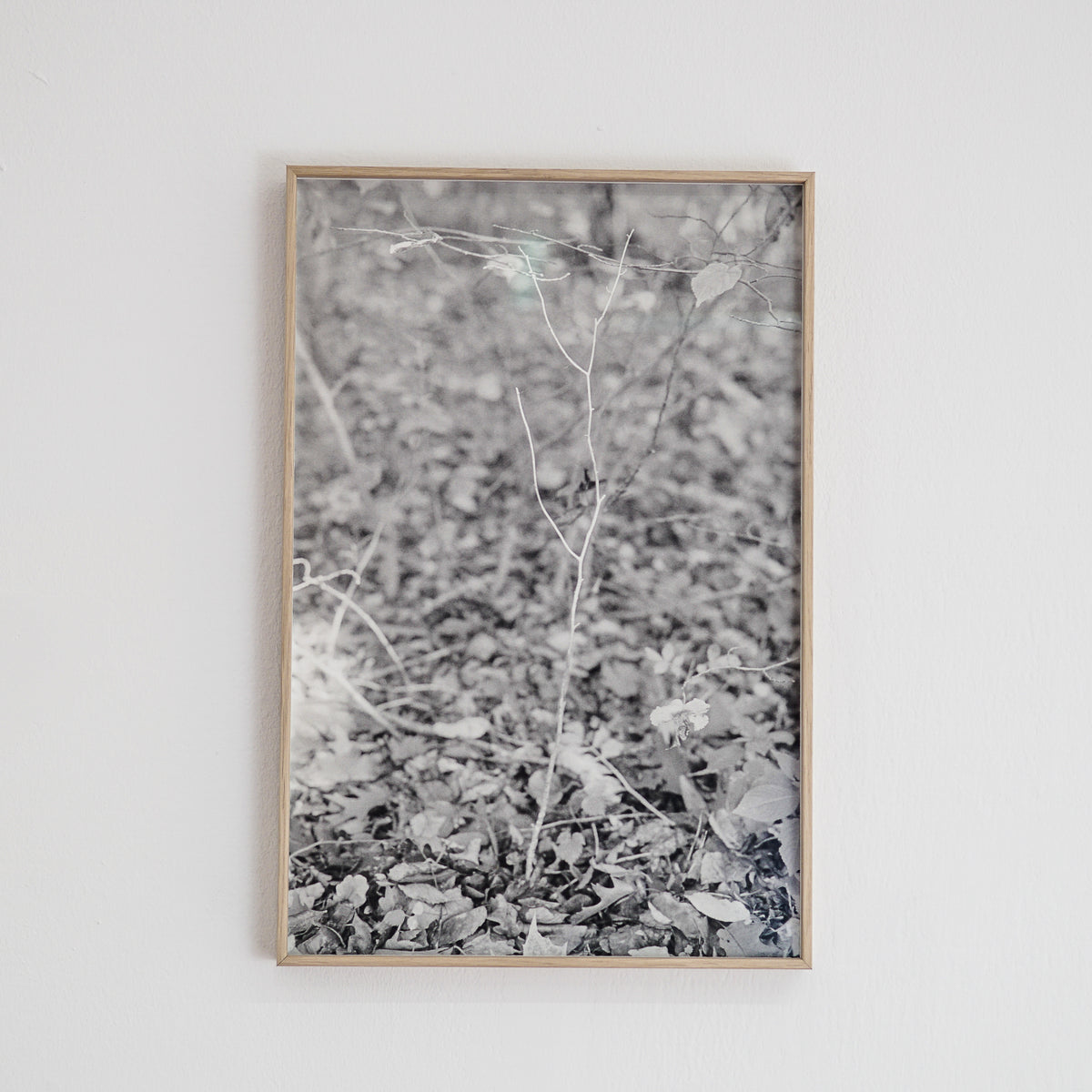 &quot;estudo do tronco&quot;, 2021 impressão jato de tinta s/ papel de algodão, 50x34 cm | Carolina Lino