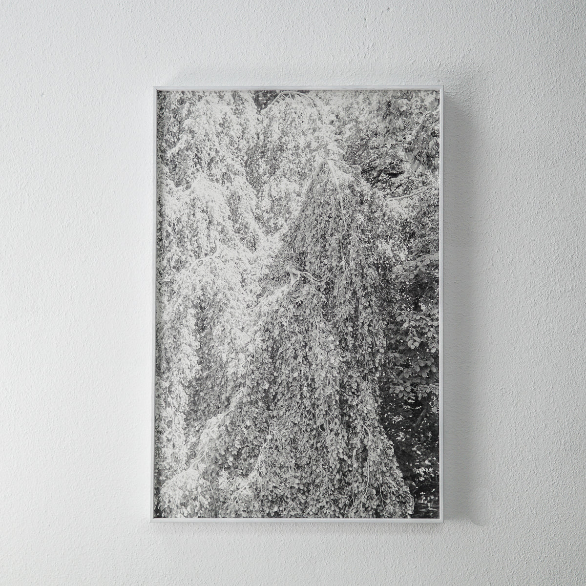 a água torna-se macia, 2021 impressão jato de tinta s/ papel de algodão  69x46 cm | Carolina Lino