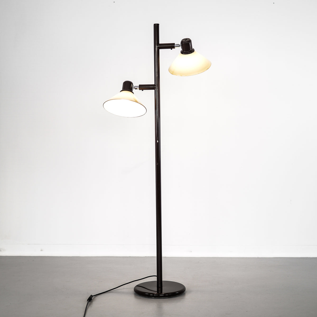 Brown two Lamps Floor Lamp | Metal and Glass | 1970&#39;s | Netherlands