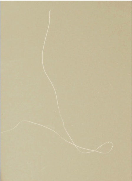 &quot;sem título&quot;, 2021 impressão jato de tinta s/ papel de algodão, 20x14,5 cm | Carolina Lino